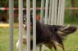 Agility